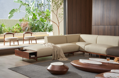 Pebble Coffee Table combination